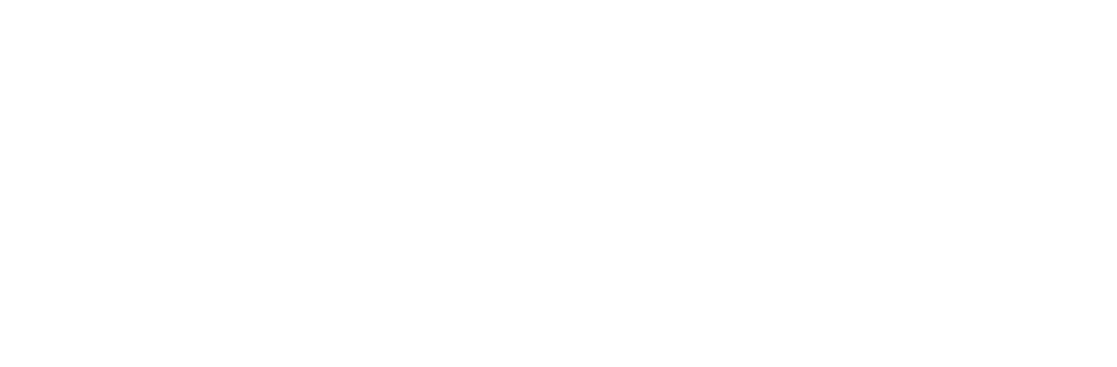 Souls of Black Folk Institute